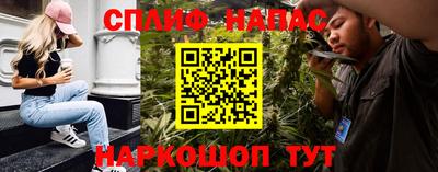 амф Новодвинск