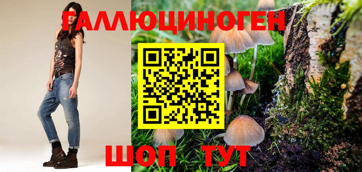 Галлюциногенные грибы GOLDEN TEACHER  Вход с VPN  Галлюциногенные грибы GOLDEN TEACHER  Ухта 